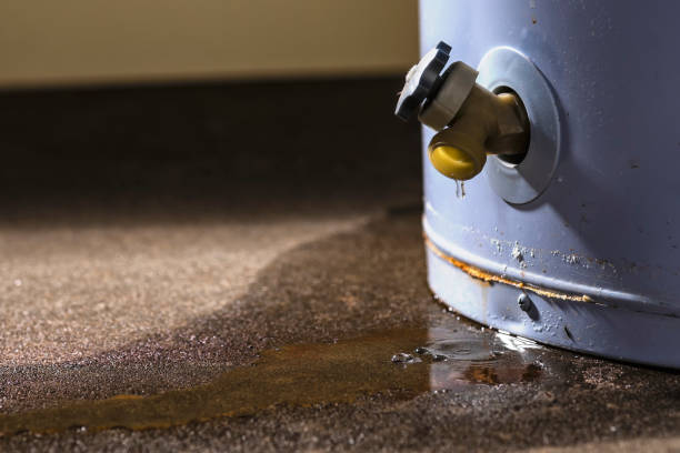 Best 24/7 water damage repair  in Siloam Springs, AR