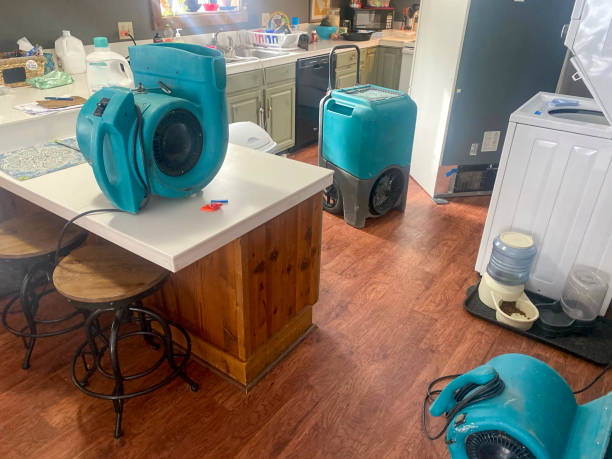 Best Carpet water damage restoration  in Siloam Springs, AR