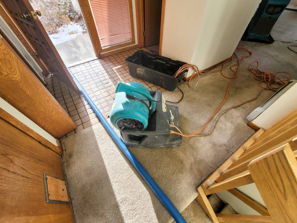 Best Water damage restoration near me  in Siloam Springs, AR