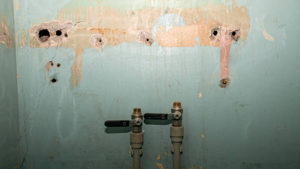 Best Flood damage cleanup  in Siloam Springs, AR
