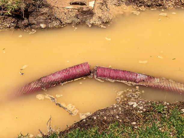 Local water damage restoration in AR